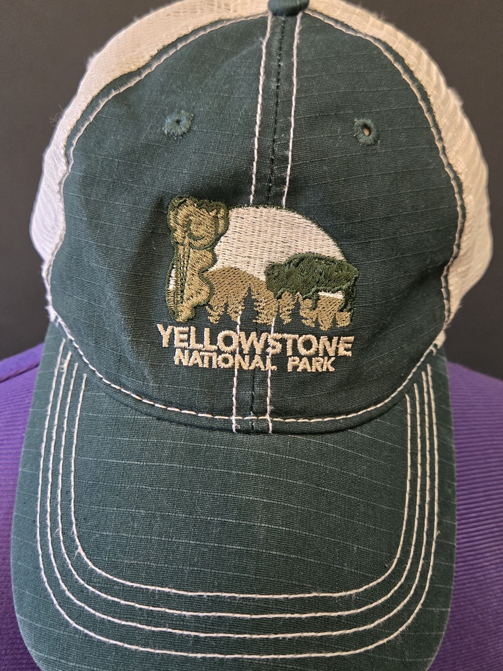 Yellowstone National Park Green & Cream Trucker Hat